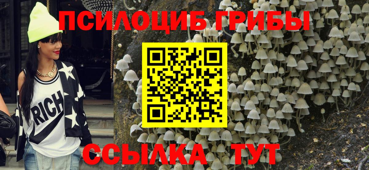 Псилоцибиновые грибы Magic Shrooms Рославль