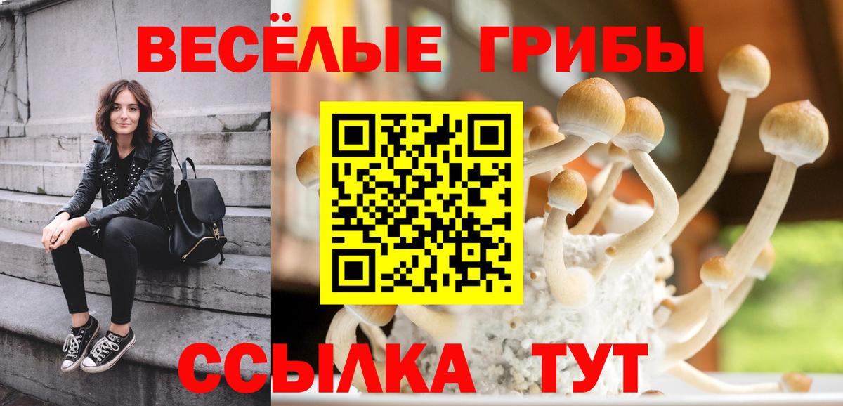 купить закладку  Галлюциногенные грибы Psilocybine cubensis  Вход с VPN  Рославль 
